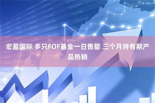 宏盈国际 多只FOF基金一日售罄 三个月持有期产品热销