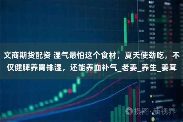 文商期货配资 湿气最怕这个食材，夏天使劲吃，不仅健脾养胃排湿，还能养血补气_老姜_养生_姜茸